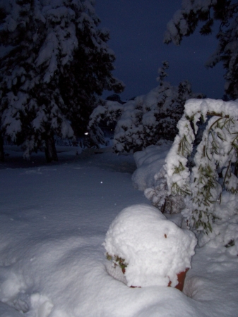 10 Marzo 2010. Città Della Pieve.