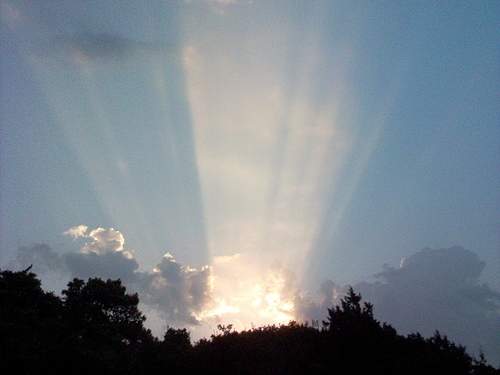 Alba All''argentario 2006