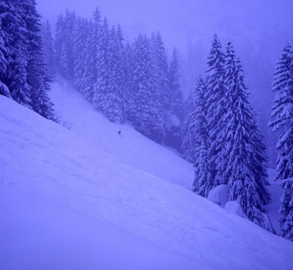 Avoriaz 1999 - Abetaia E Pendio Innevato