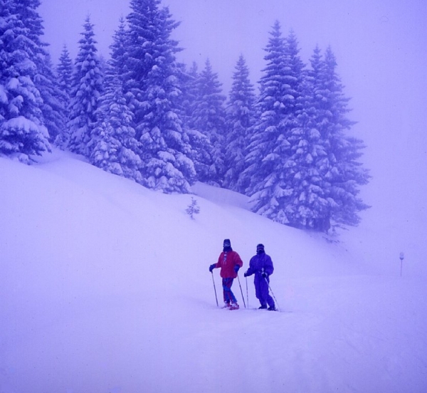 Avoriaz 1999 - Abetaia E Pista Invisibile