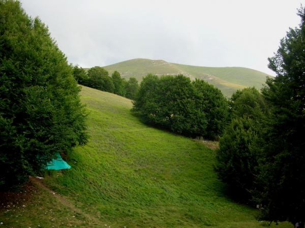 Canatra 03