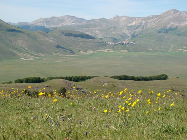 Castelluccio-29 Maggio 2011