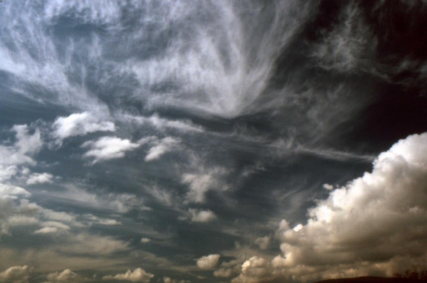 Cielo Caotico-cirri,cirrostrati,cumuli..