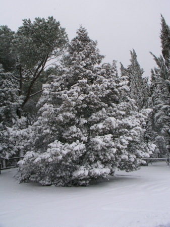 Colle Della Trinità - 004 Colle Della Trinità - 004