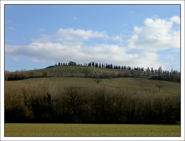Collina Collina