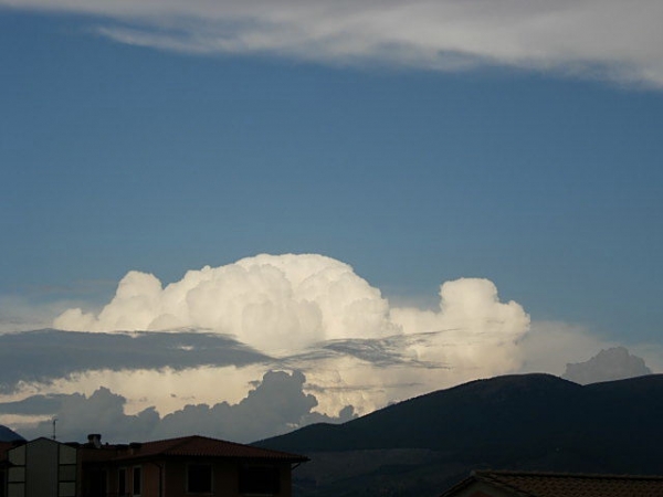 Cumulonimbus calvus Cumulonimbus calvus