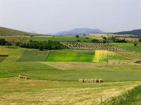 Dintorni Di Colfiorito!