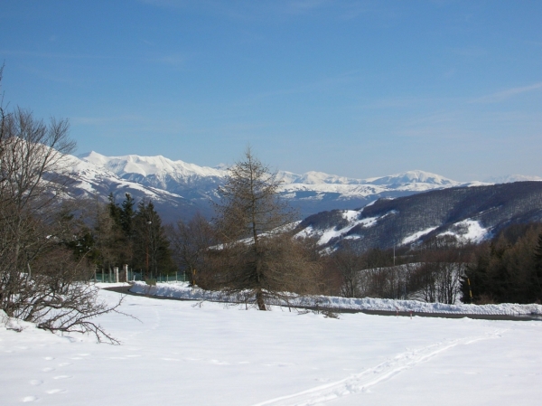 Dscn2100