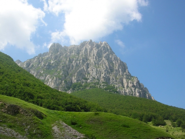 Dscn2333