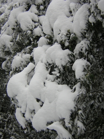 Dscn2870