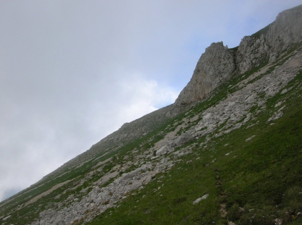 Dscn3575