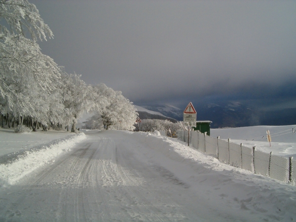 Galaverna a Monte Nerone (30 dicembre 2004)
