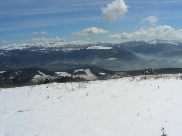 Il Monte Di Pale