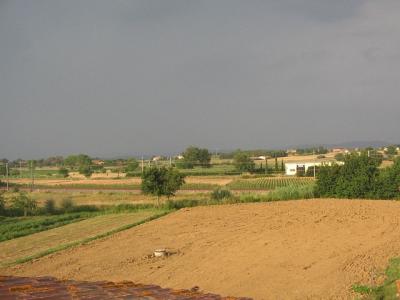 webcam_1278349517_863357