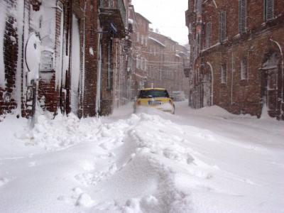 citt_della_pieve_1268206660_958994