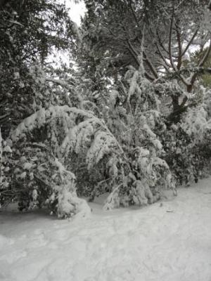 dsc02552_compressa_1328377719_174287