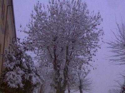 14122012092