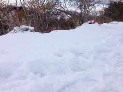 image_1385302683_778998