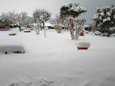 photo_2018_02_28_08_25_36