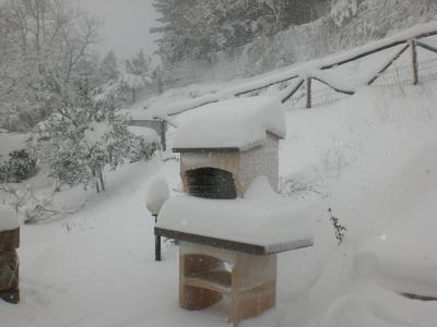 cimg0937_1328169721_961934