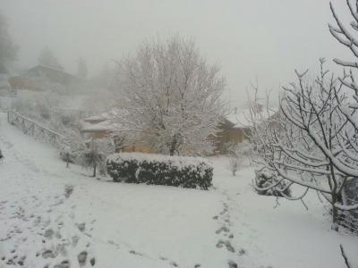 msantamariatiberina2013gen16