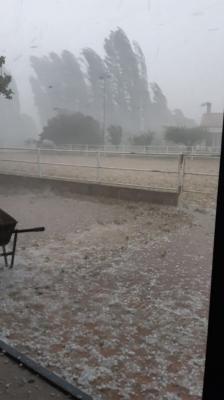 whatsapp_image_2019_07_09_at_17_31_34