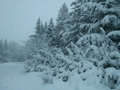 20190104_151003_copia