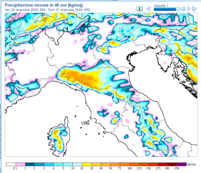 immagine_1608899337_736083