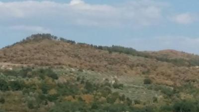 20708136_10209643321492883_6359243261878117203_n