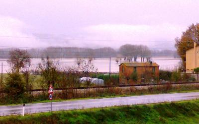 11122008243 11122008243