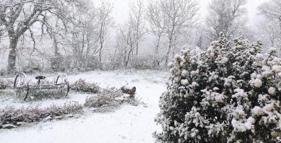 img_20210318_081239 img_20210318_081239