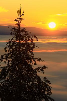 131975230_1806514006194060_4697056677745223106_o 131975230_1806514006194060_4697056677745223106_o