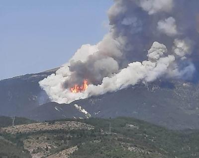 img_20200730_162853 img_20200730_162853