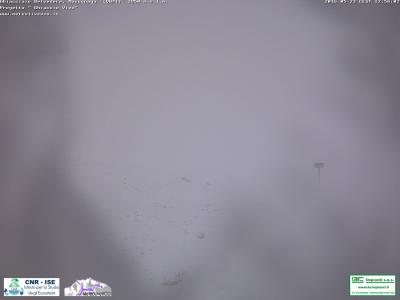 ghiacciaiobelvedere ghiacciaiobelvedere