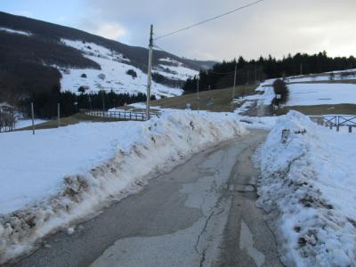 img_1216 img_1216