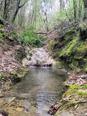 06c4ddc7_56fd_41ca_a6e5_76cca56cd1ba