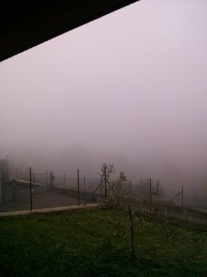 10372176_717803518311769_6419976136054036139_n