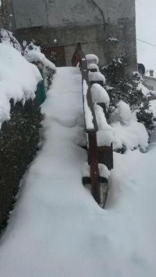 10422595_752705654821555_6505280220807858421_n