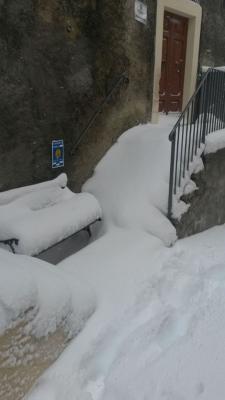 10891756_752704634821657_3614609573478736271_n