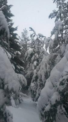 10940529_752703484821772_4454677952098822661_n