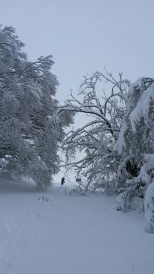 10947284_752711968154257_462000472897065114_n