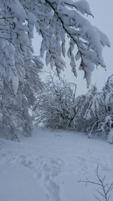 1510458_752712154820905_4259926255150864107_n