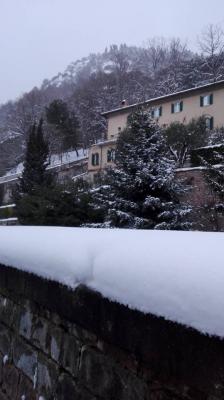 16002828_1197166463708803_5428330504361011925_n