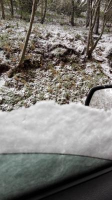 18010336_1290281551063960_4743860869759306535_n