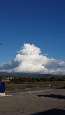 1451951_245538458947763_2142235986_n