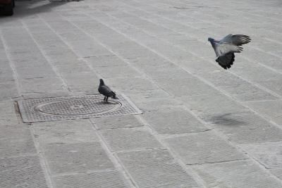 25460_1414497045283_1318280475_1109176_113551_n