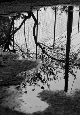 img_0658small_1272396030_846348