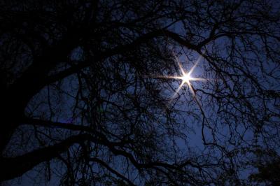 img_1327modsmall img_1327modsmall