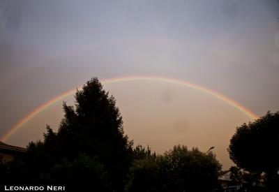 img_2925small_1311100899_772342