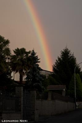 img_2927small img_2927small